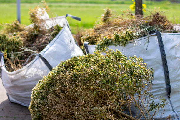 Best Commercial Junk Removal  in Pato, WA